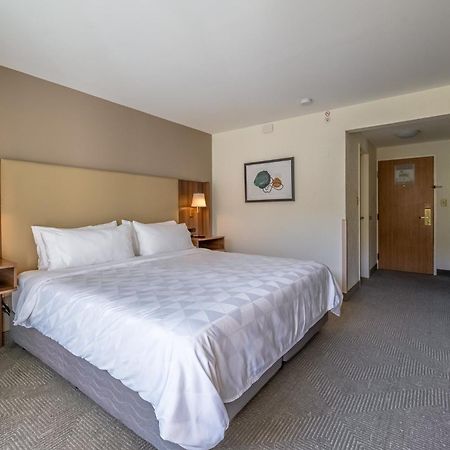 Holiday Inn San Jose La Sabana By Ihg Eksteriør bilde